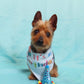 Dog birthday hat pet hat